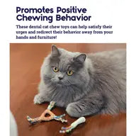 Catnip Dental 2 pack