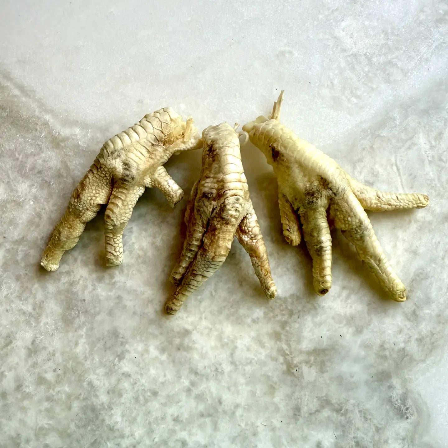 Chicken Foot - Freeze-Dried Treats For Dogs & Cats