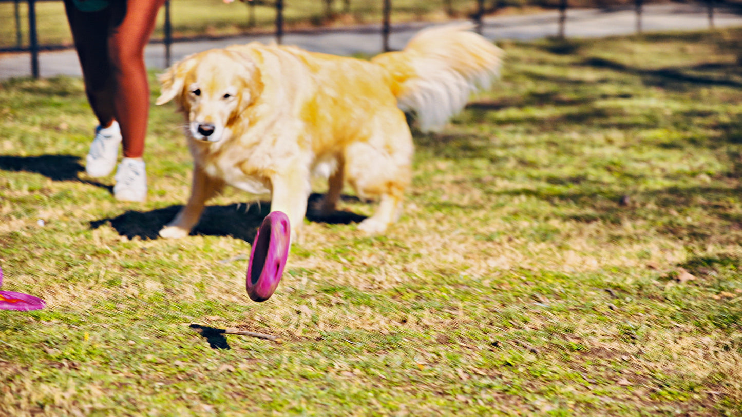 Goat Sport Ring Dog Toy - Large
