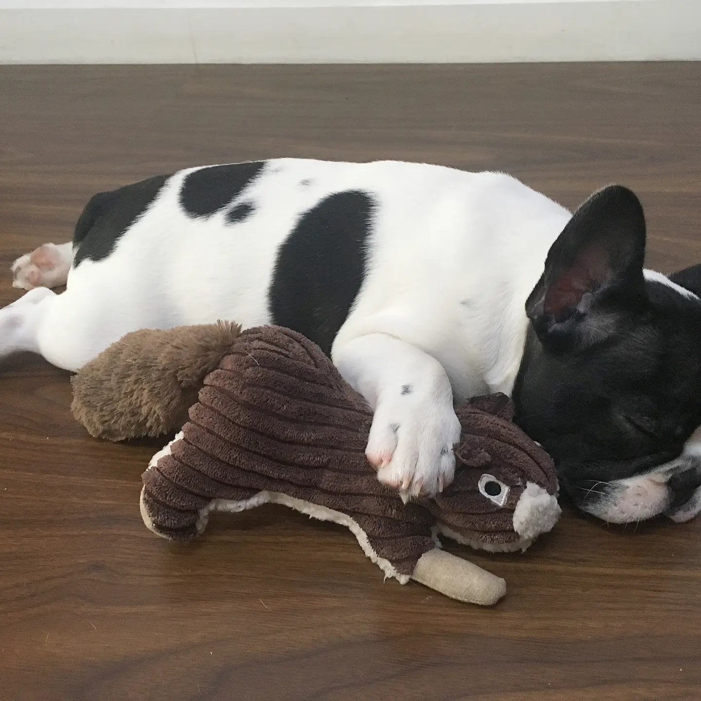 Tall Tails Plush Squirrel Squeaker Toy - 12"