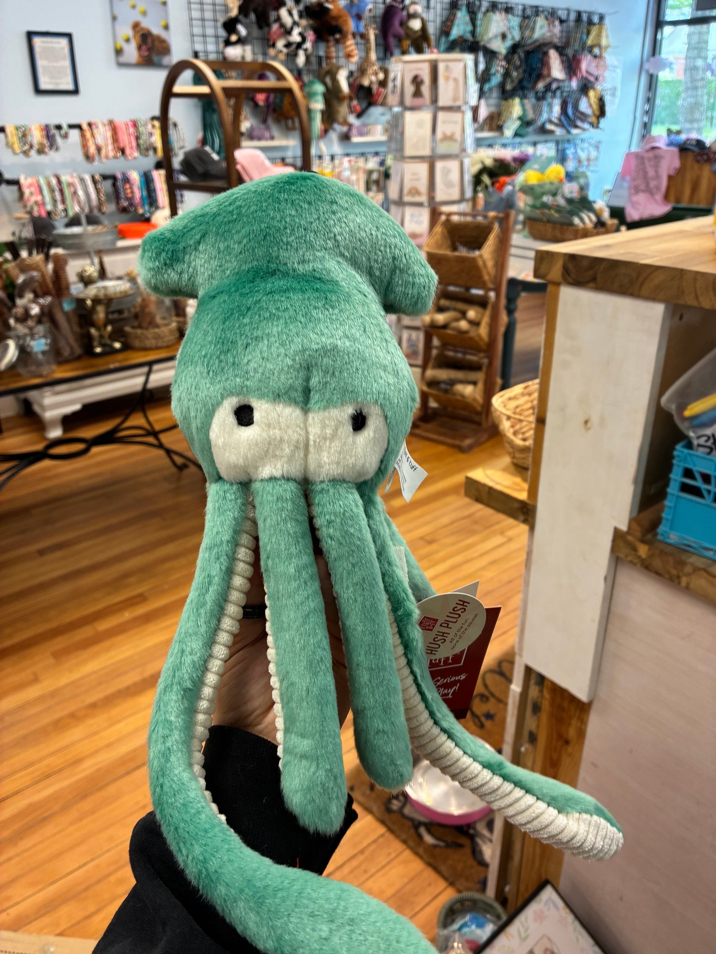 Claude Squid