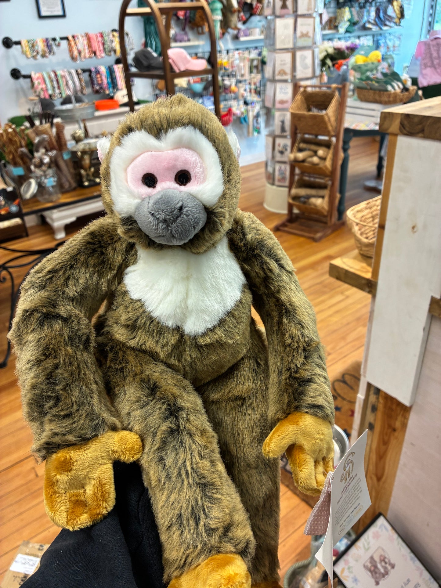 Albert Monkey