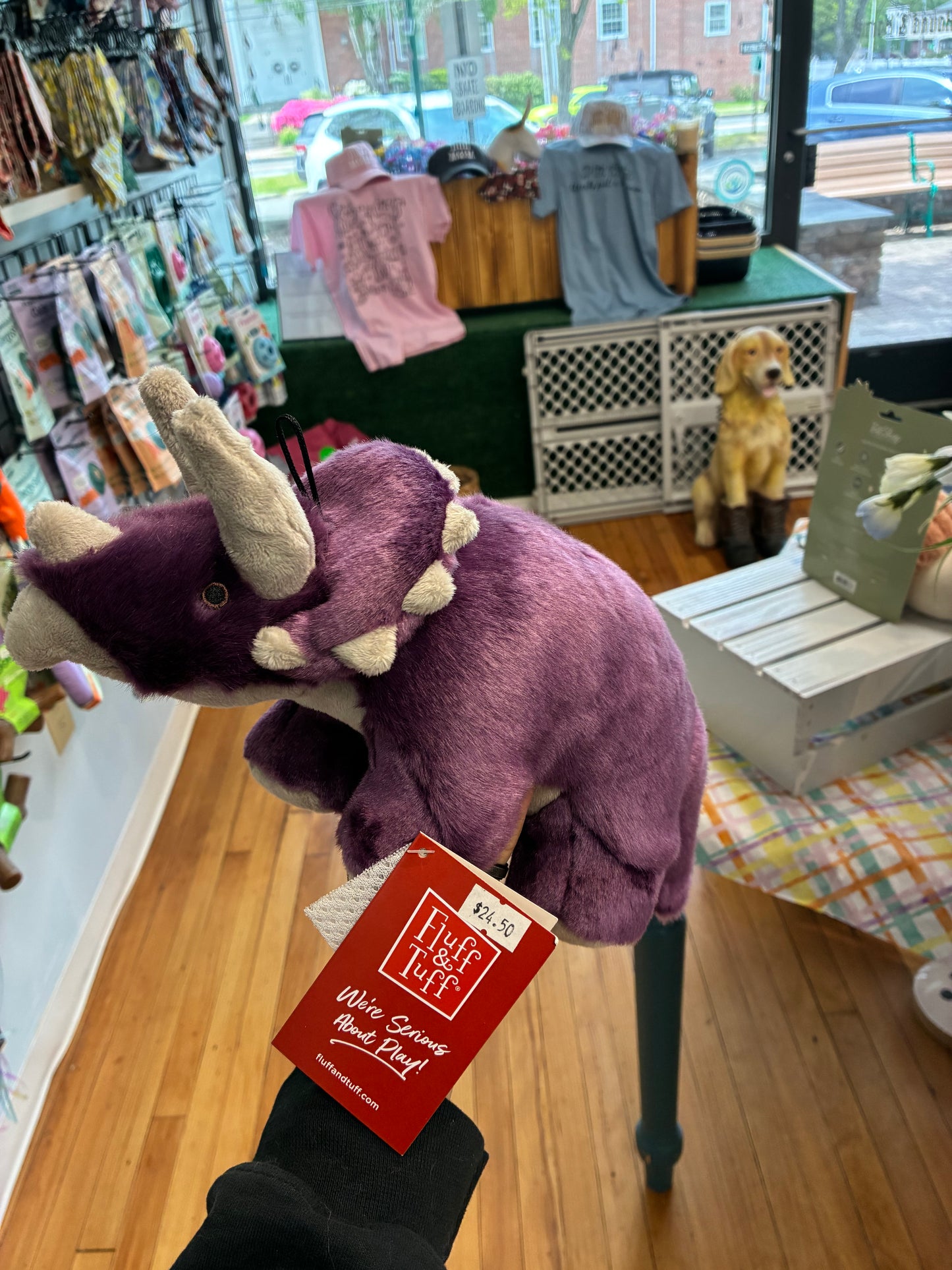 Charlie Triceratops