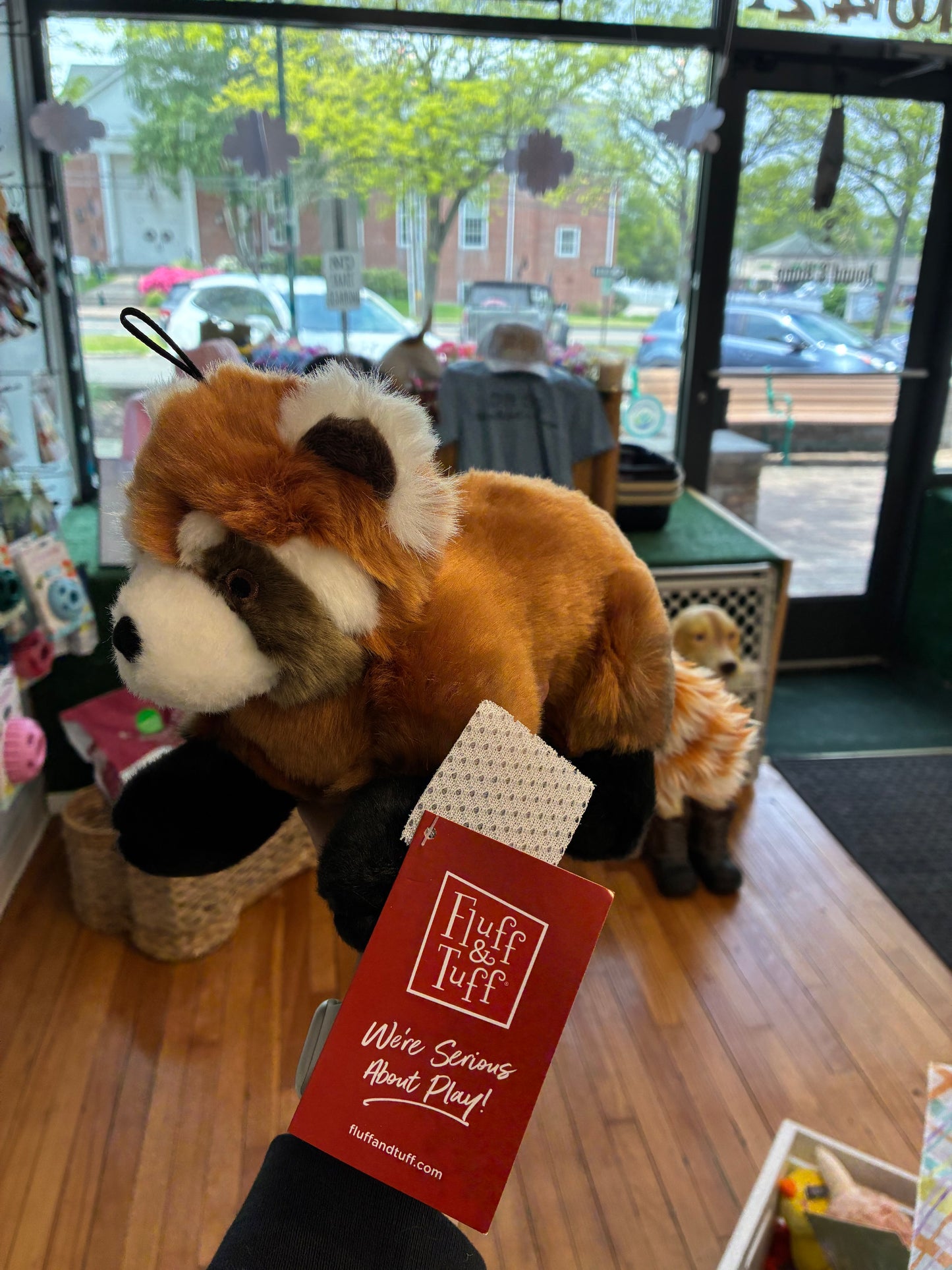 Archie Red Panda