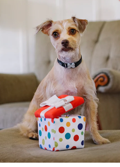 Pawfect Present