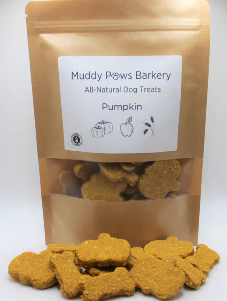 Pumpkin Biscuits