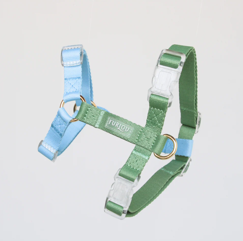 Blue and Sage Green - Dog Harness