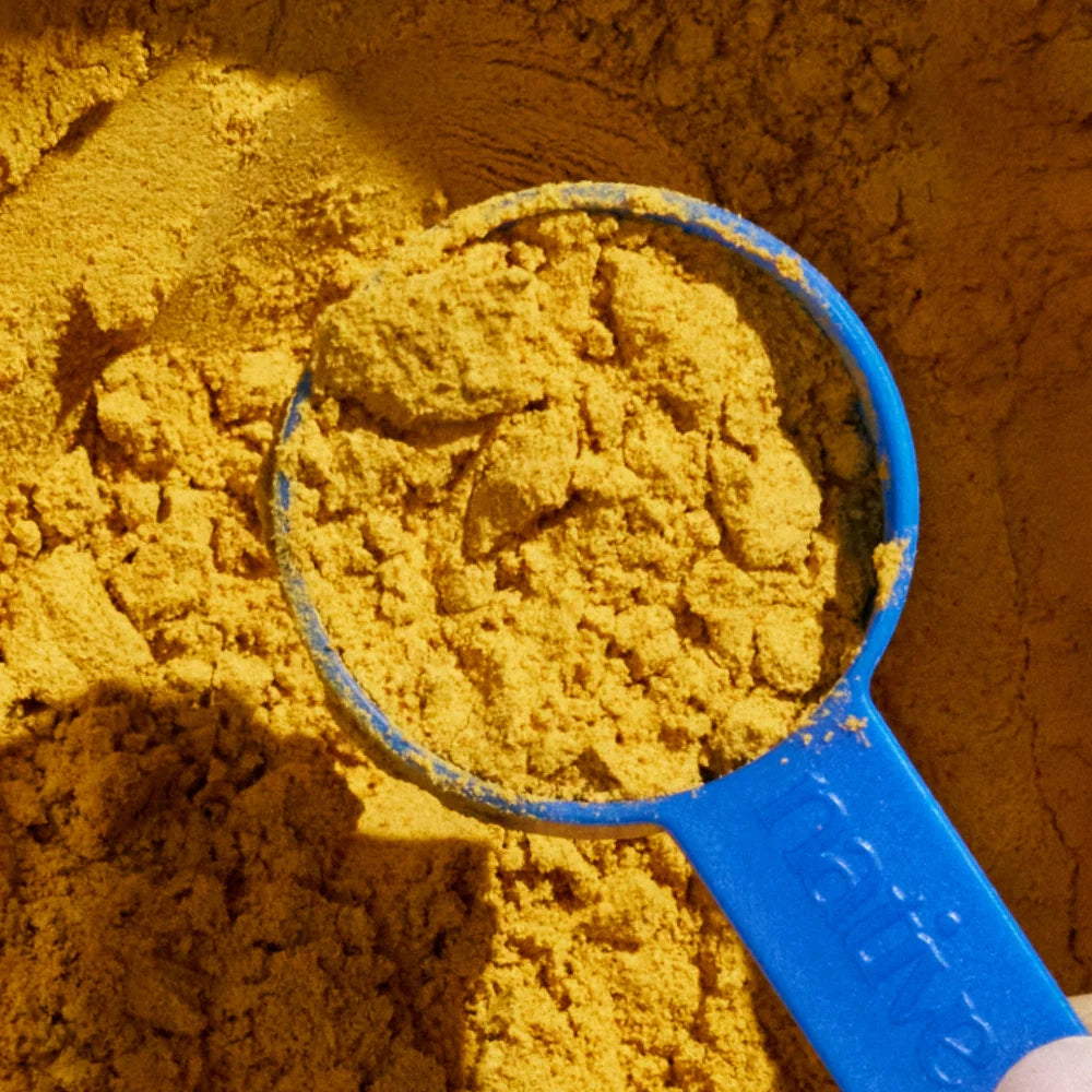 Organic Pumpkin Fiber Powder, Digestive Supplement For Dogs 8oz