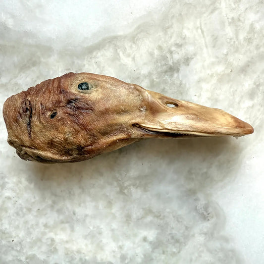 Duck Head - Freeze-Dried Treats For Dogs & Cats