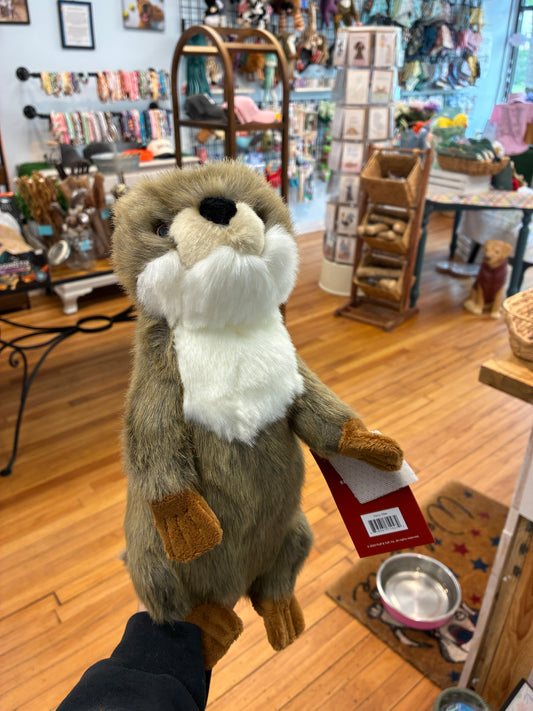 Harry Otter