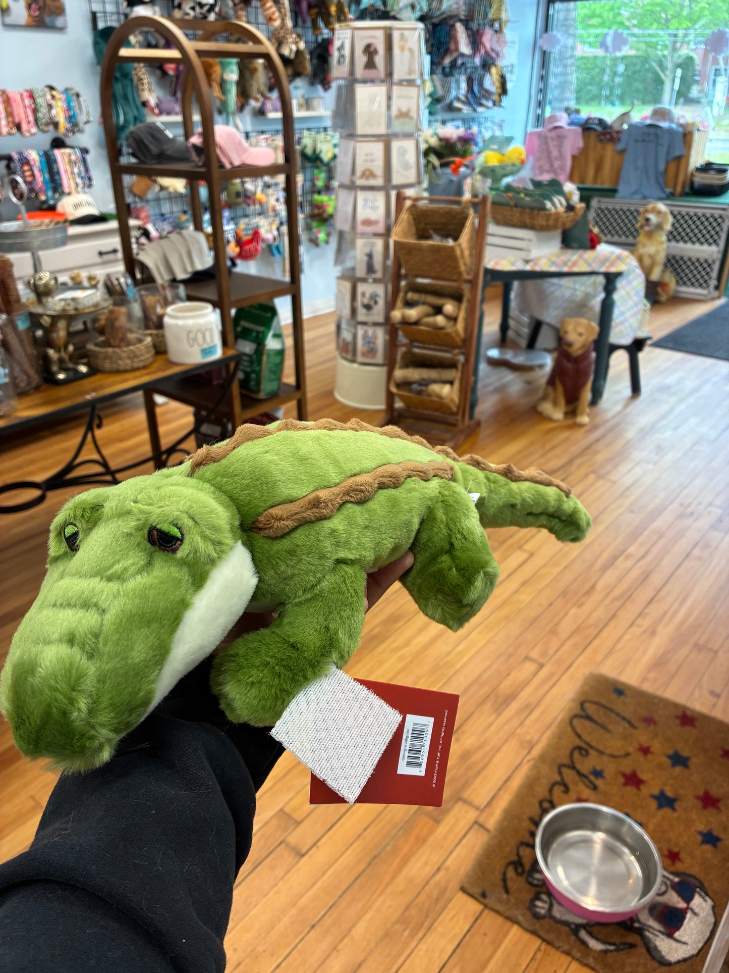 Georgia Gator