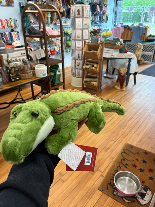 Georgia Gator