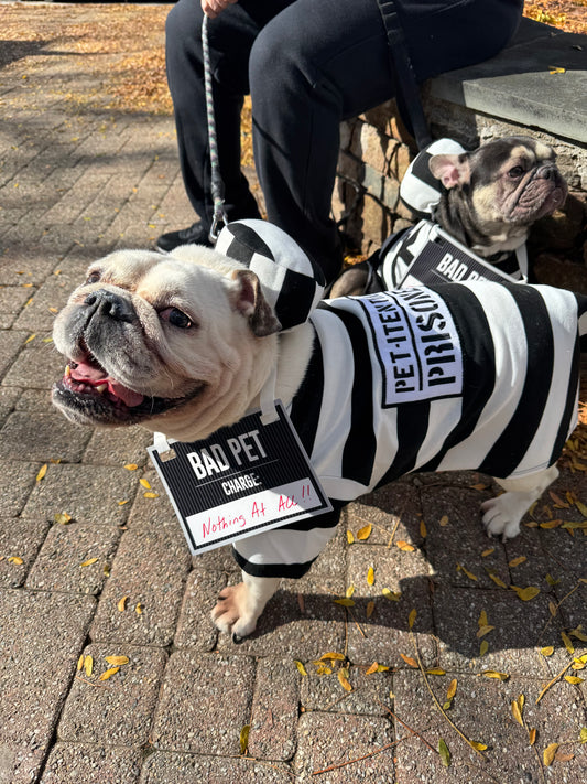 Howl-O-Ween Ticket