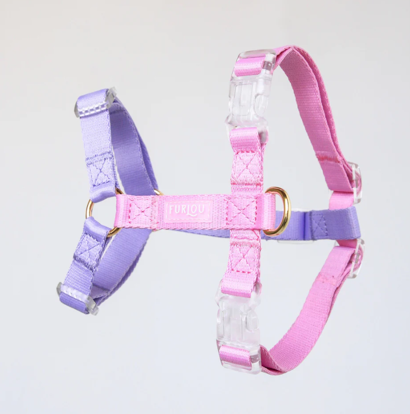 Lavender and Pink - Dog Harness