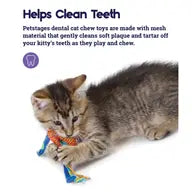 Catnip Dental 2 pack