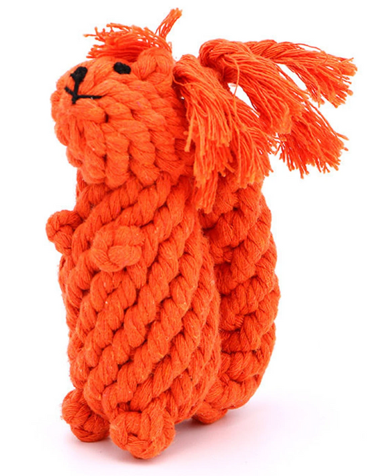 Squirrel Rope Toy